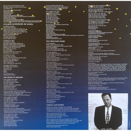 Billy Joel - River Of Dreams (0196587008413) виниловая пластинка - фото 7