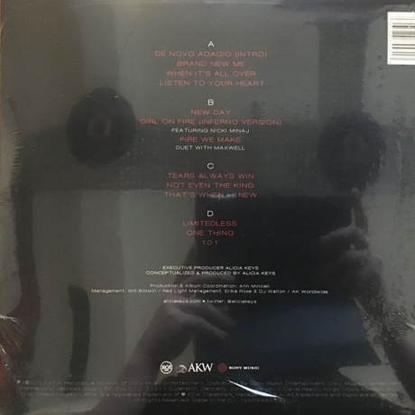 Alicia Keys - Girl On Fire (0196588855313) виниловая пластинка - фото 2