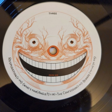 Andrew Bird - Oh! The Grandeur (0711574812318) виниловая пластинка - фото 5