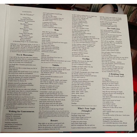 Andrew Bird - Oh! The Grandeur (coloured) (0711574836918) виниловая пластинка - фото 4