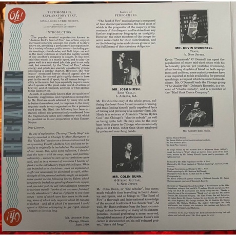 Andrew Bird - Oh! The Grandeur (coloured) (0711574836918) виниловая пластинка - фото 5