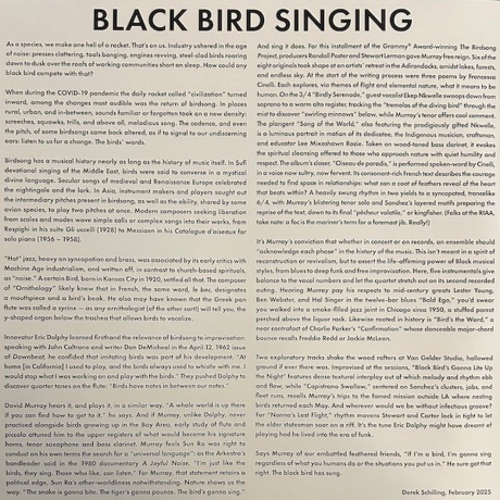 David Murray - Birdly Serenade (0602475915928) виниловая пластинка - фото 3