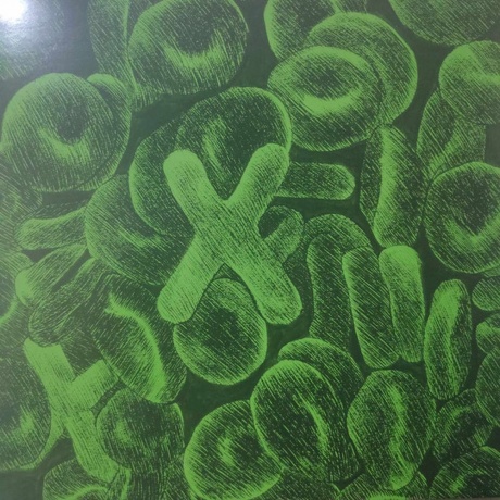 Ed Sheeran - (Multiply) (coloured) (5054197402753) виниловая пластинка - фото 9