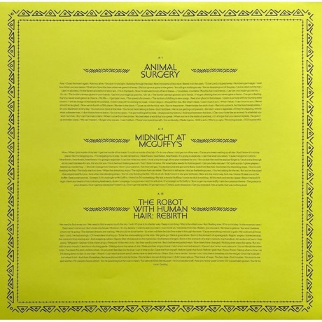 Dance Gavin Dance - Pantheon (coloured) (4099964171358) виниловая пластинка - фото 8