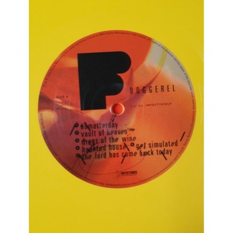 Pixies - Doggerel (coloured) (4050538807370) виниловая пластинка - фото 9