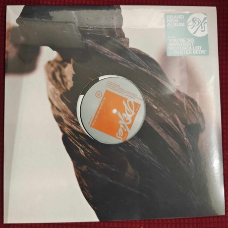 Pixies - The Night The Zombies Came (4099964051353) виниловая пластинка - фото 1