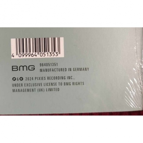Pixies - The Night The Zombies Came (4099964051353) виниловая пластинка - фото 4