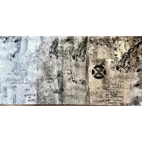 Suede - Antidepressants (4099964174113) виниловая пластинка - фото 2