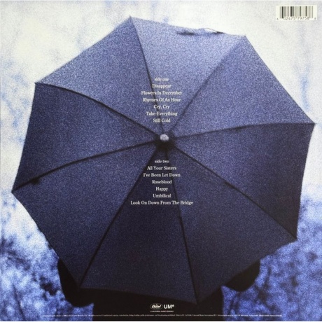 Mazzy Star - Among My Swan (coloured) (0602475797586) виниловая пластинка - фото 2