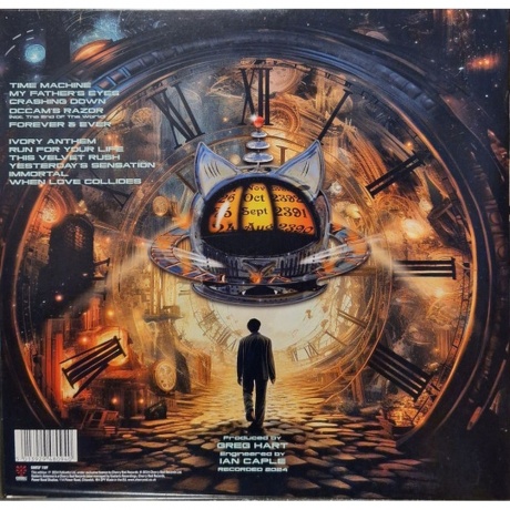 Cats In Space - Time Machine (5013929480940) виниловая пластинка - фото 2