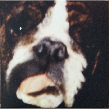 Dinosaur Jr. - Hand It Over (coloured) (5013929175914) виниловая пластинка - фото 12