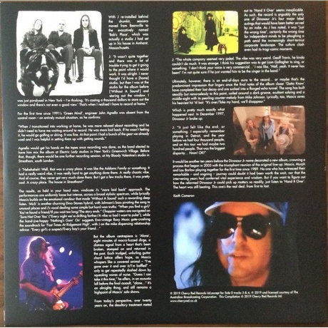 Dinosaur Jr. - Hand It Over (coloured) (5013929175914) виниловая пластинка - фото 13