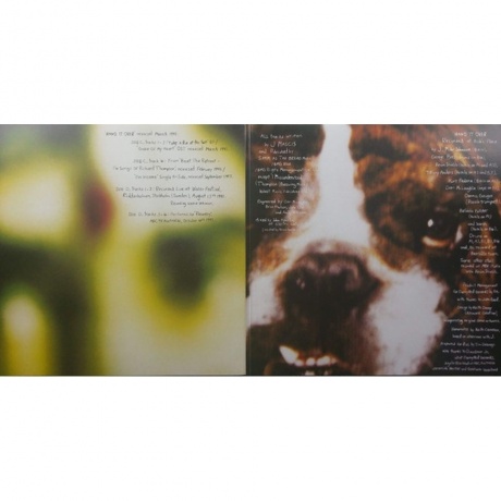 Dinosaur Jr. - Hand It Over (coloured) (5013929175914) виниловая пластинка - фото 4