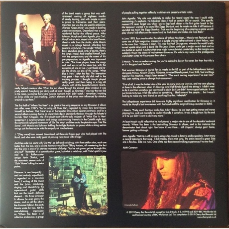 Dinosaur Jr. - Where You Been (coloured) (5013929175716) виниловая пластинка - фото 11