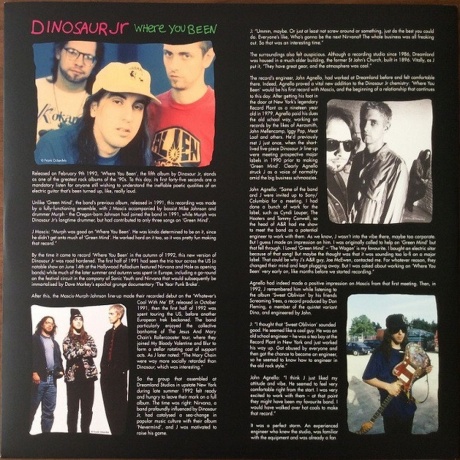 Dinosaur Jr. - Where You Been (coloured) (5013929175716) виниловая пластинка - фото 9