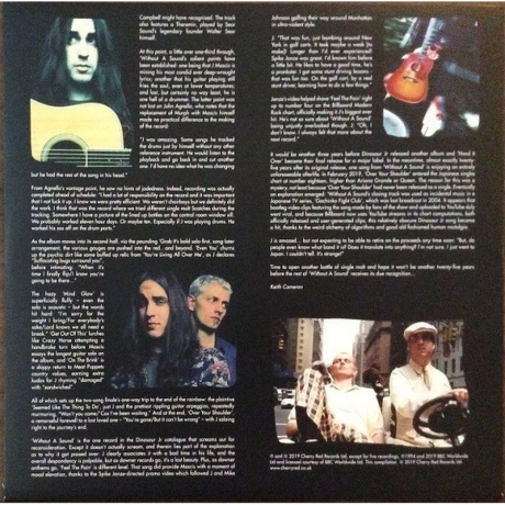 Dinosaur Jr. - Without A Sound (coloured) (5013929175815) виниловая пластинка - фото 13