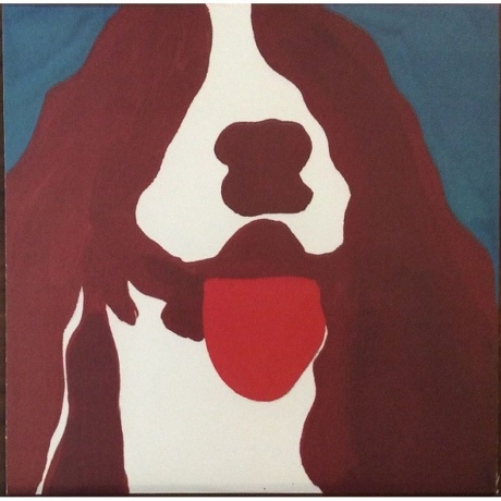 Dinosaur Jr. - Without A Sound (coloured) (5013929175815) виниловая пластинка - фото 14