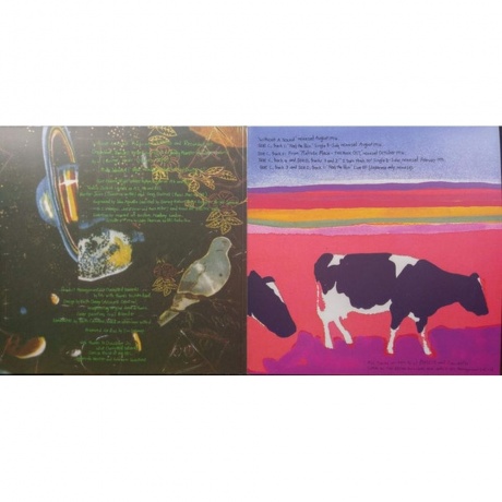 Dinosaur Jr. - Without A Sound (coloured) (5013929175815) виниловая пластинка - фото 4