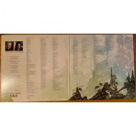 Downes Braide Association - Celestial Songs (coloured) (5060854800510) виниловая пластинка - фото 3