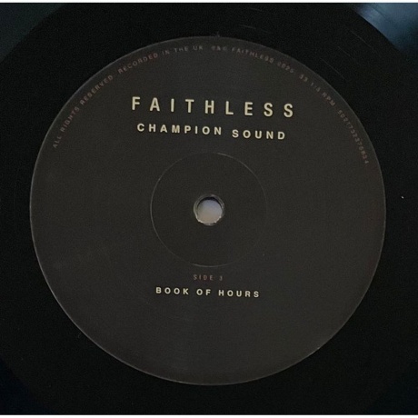 Faithless - Champion Sound (3760420425186) виниловая пластинка - фото 6