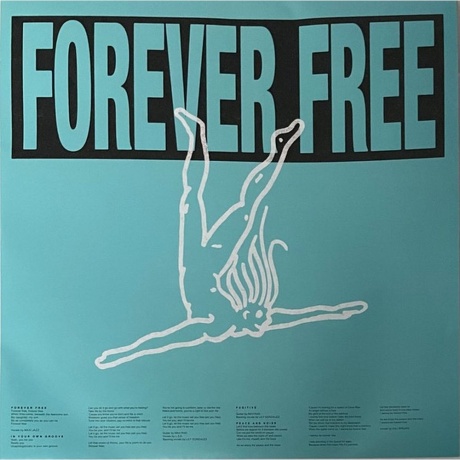 Faithless - Champion Sound (3760420425186) виниловая пластинка - фото 8