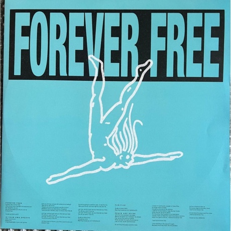 Faithless - Champion Sound (coloured) (3760420425162) виниловая пластинка - фото 7