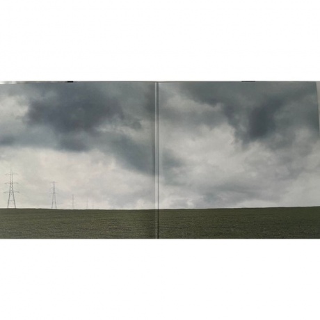 Faithless - Champion Sound (coloured) (3760420425179) виниловая пластинка - фото 2