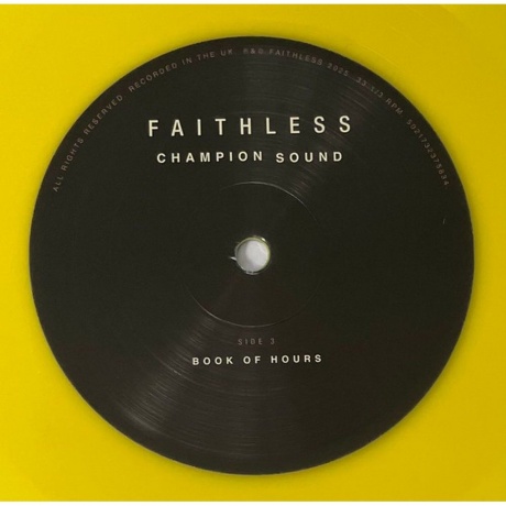 Faithless - Champion Sound (coloured) (3760420425179) виниловая пластинка - фото 5