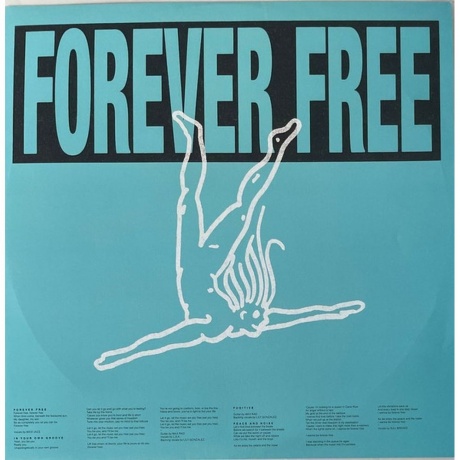 Faithless - Champion Sound (coloured) (3760420425179) виниловая пластинка - фото 7