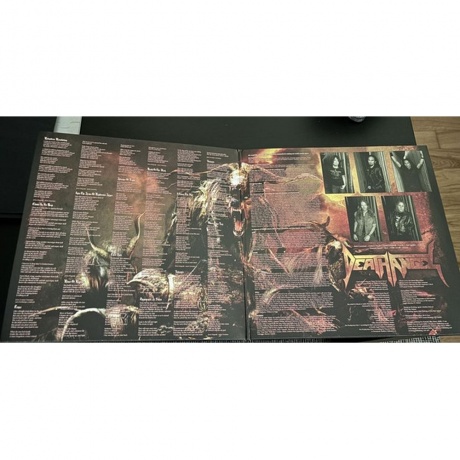 Death Angel - Relentless Retribution (coloured) (0727361263454) виниловая пластинка - фото 8