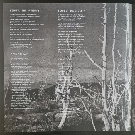 Enslaved - Heimdal (4065629661816) виниловая пластинка - фото 6