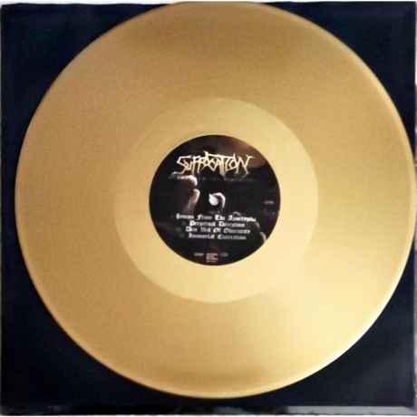 Suffocation - Hymns From The Apocrypha (coloured) (4065629715489) виниловая пластинка - фото 3