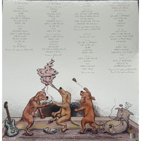 Green Day - Dookie (Box) (coloured) (0093624862789) виниловая пластинка - фото 2