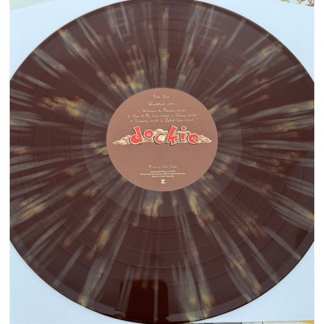 Green Day - Dookie (Box) (coloured) (0093624862789) виниловая пластинка - фото 13