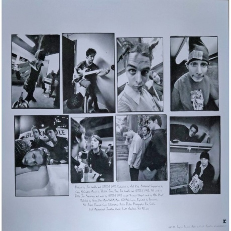 Green Day - Dookie (coloured) (0093624850434) виниловая пластинка - фото 7