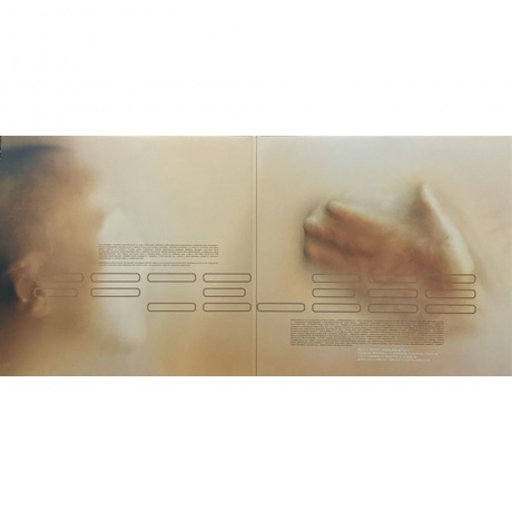 Godsmack - Faceless (0602465242362) виниловая пластинка - фото 2