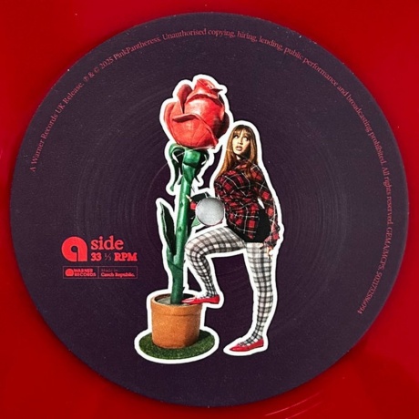 PinkPantheress - Fancy That (coloured) (5021732586094) виниловая пластинка - фото 5