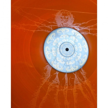 Van Halen - Balance (coloured) (0081227811235) виниловая пластинка - фото 11