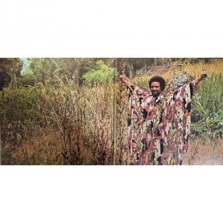 Quincy Jones - Smackwater Jack (Audiophile Edition) (0602475786931) виниловая пластинка - фото 3