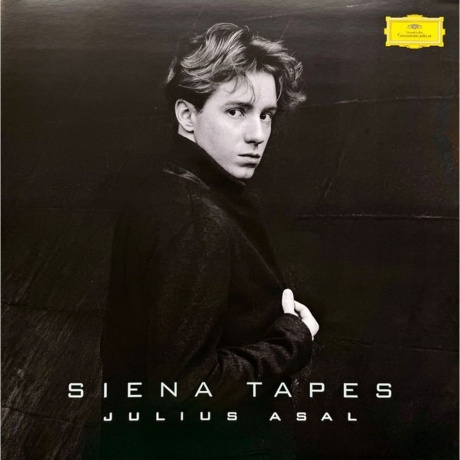 Julius Asal - Siena Tapes (0028948672820) виниловая пластинка - фото 3