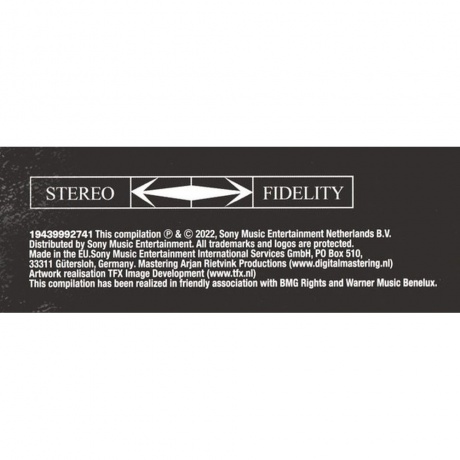 Bonnie Tyler - Her Ultimate Collection (0194399927410) виниловая пластинка - фото 5