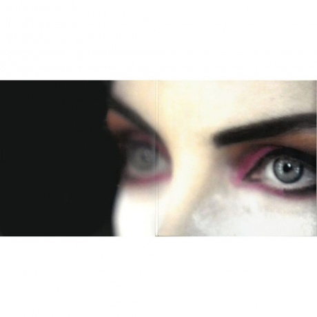 Annie Lennox - The Collection (0198029462913) виниловая пластинка - фото 6