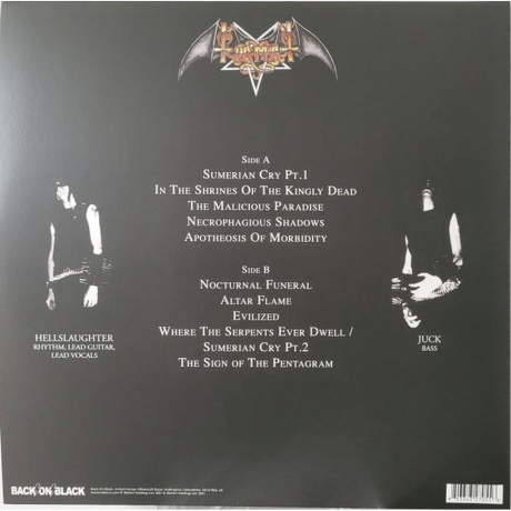 Tiamat - Sumerian Cry (Clear Red Splatter) (0803343270556) виниловая пластинка - фото 2