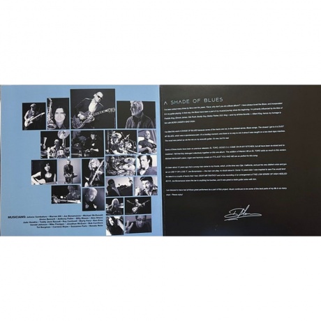 Dave Mason - Shade Of Blues (Blue) (0753088261213) виниловая пластинка - фото 3