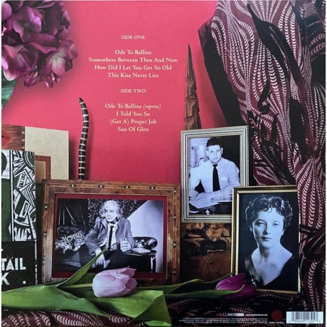 Jakko M. Jakszyk - Son Of Glen (0198029113013) виниловая пластинка - фото 2