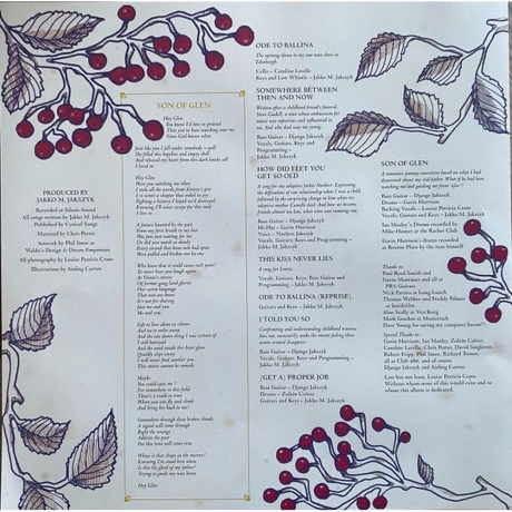 Jakko M. Jakszyk - Son Of Glen (0198029113013) виниловая пластинка - фото 4