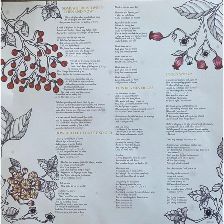 Jakko M. Jakszyk - Son Of Glen (0198029113013) виниловая пластинка - фото 5