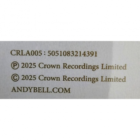 Andy Bell - Ten Crowns (White) (5051083214391) виниловая пластинка - фото 4
