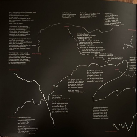 Mitski - Laurel Hell (0656605155012) виниловая пластинка - фото 5