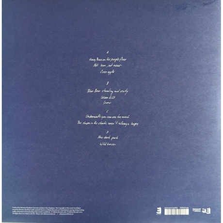 Polar Bear - Dim Lit (5060509792887) виниловая пластинка - фото 2